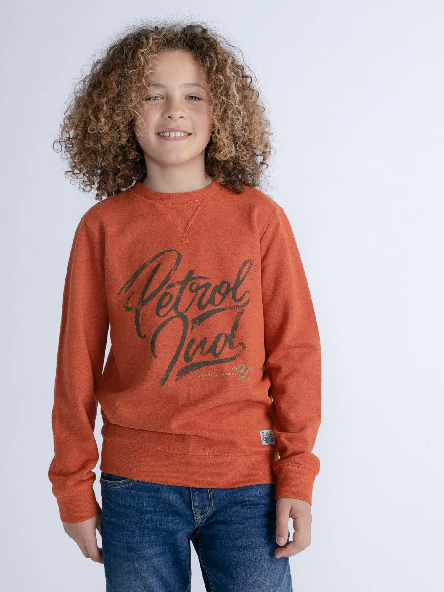 Artwork Sweater Wheaton