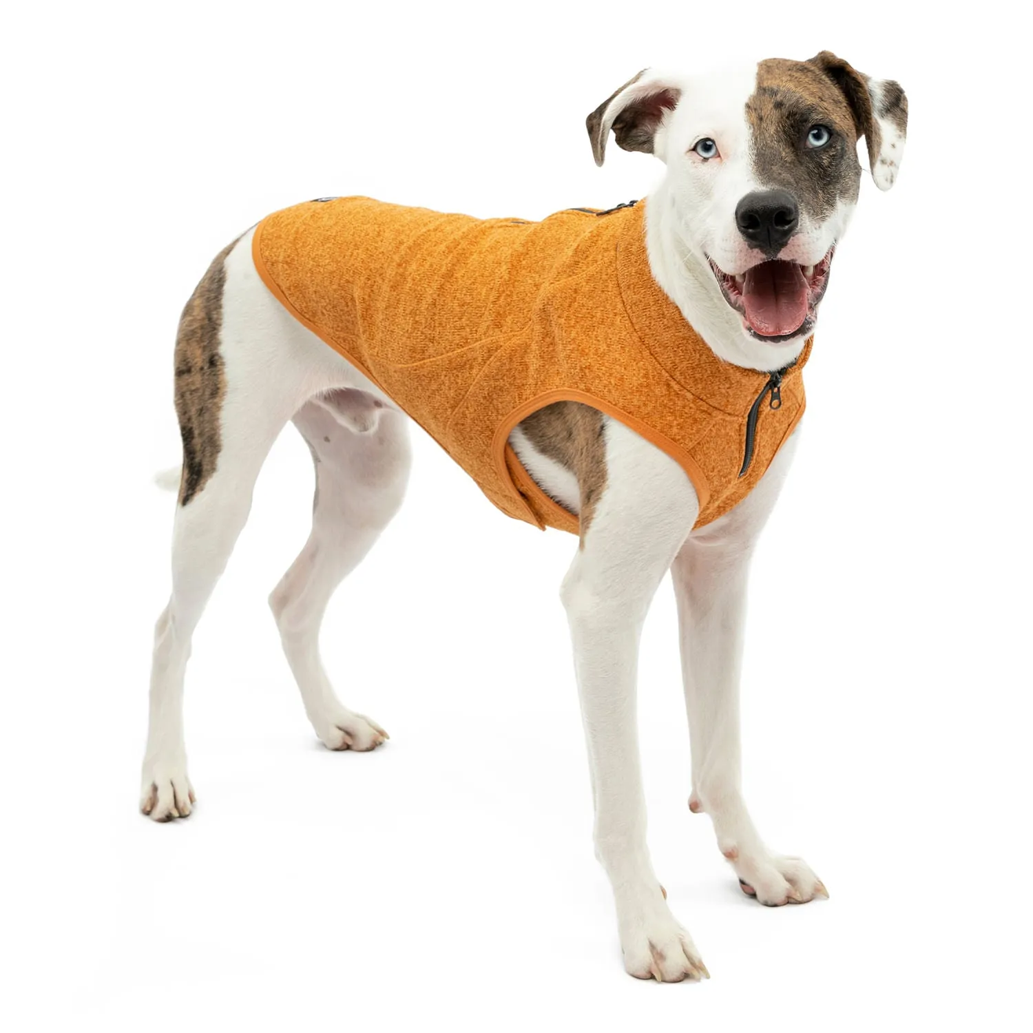 Kurgo K9 Core Sweater